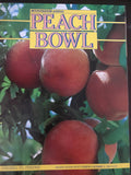 1984 Peach Bowl Program Purdue vs Virginia - Vintage Indy Sports