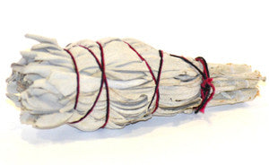 Abalone Shell