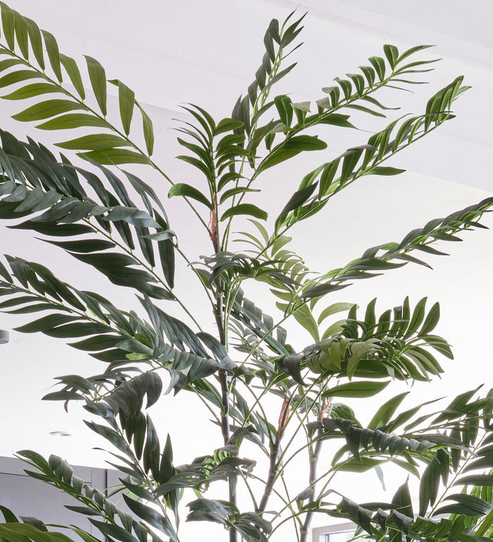 Artificial Bamboo Palm