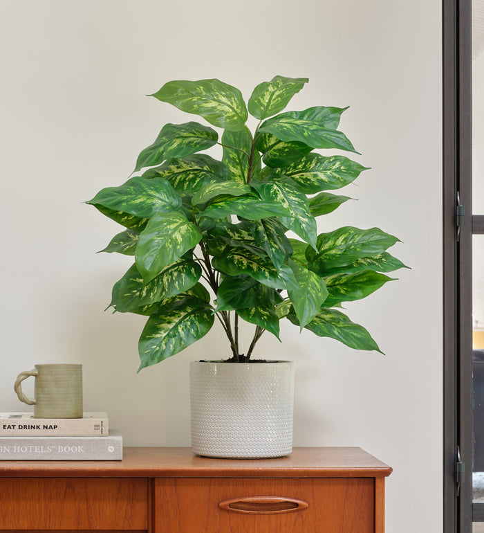 Artificial Dieffenbachia