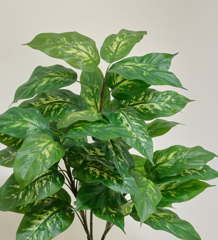 Artificial Dieffenbachia