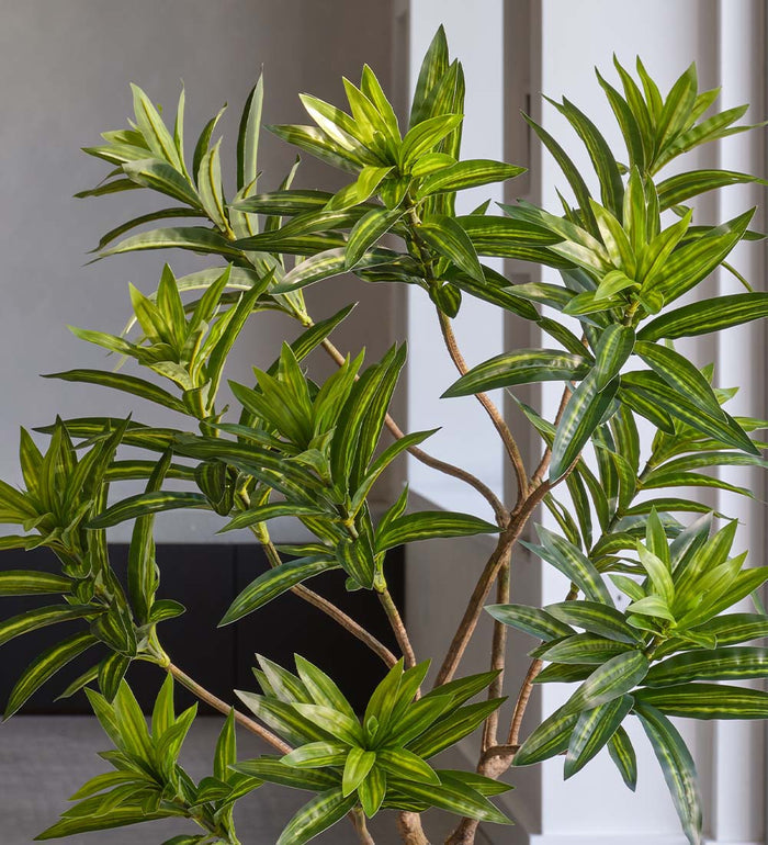 Artificial Dracaena Tree