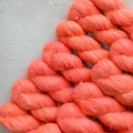Atomic Apricot- Cria Cloud