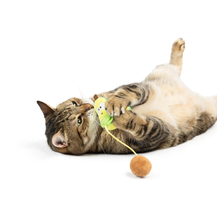 Cat with Avocado Popper Cat Toy.