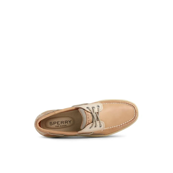 Billfish - Light Brown