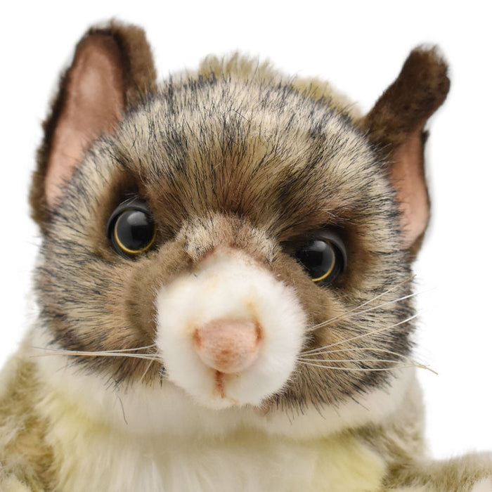 Brush Tailed Possum Hand Puppet Hansa True to Life Look Plush Learning Toys