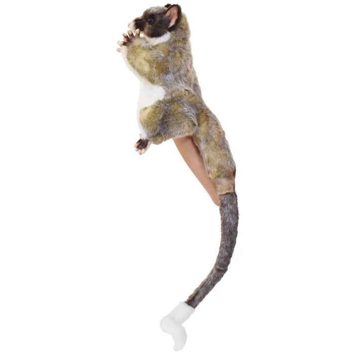 Brush Tailed Possum Hand Puppet Hansa True to Life Look Plush Learning Toys