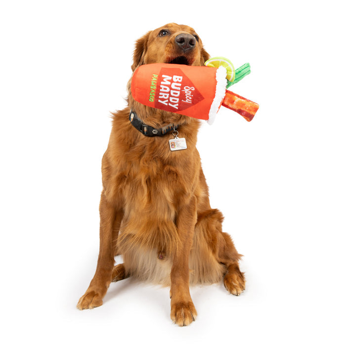 Dog with Buddy Mary Dog Toy on a white background.