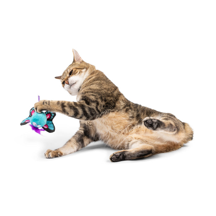 Cat with Butterfly Flinger Cat Toy.