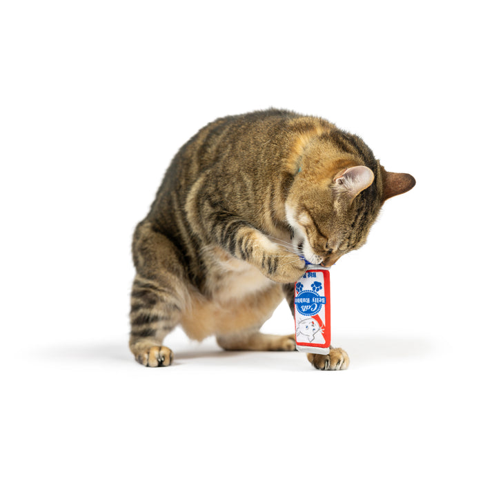 Cat with Cats Belly Rubbin Cat Toy.