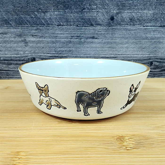 Charleston Dog Breed Water Food Bowl Embossed Treat Dish Gray Inside by Blue Sky