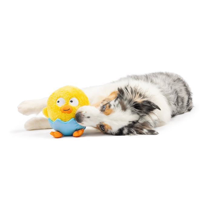 Dog with Chick-A-Dee Dog Toy on a white background.