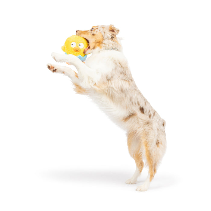 Chick-A-Dee Dog Toy