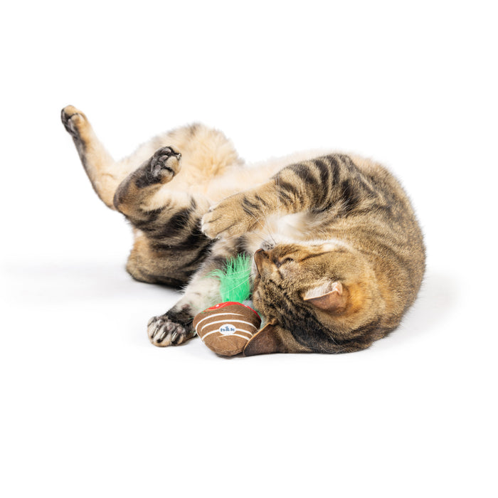 Cat with Chocolate Strawberry Cat Toy.