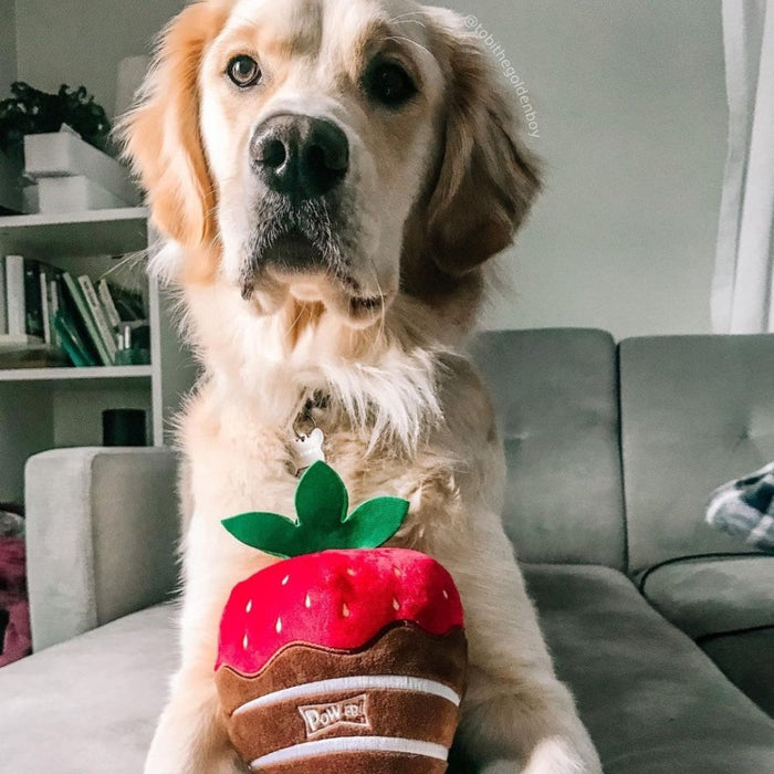 Chocolate Strawberry