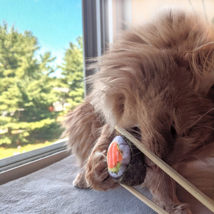 Cat with Classic Sushi Cat Toy.