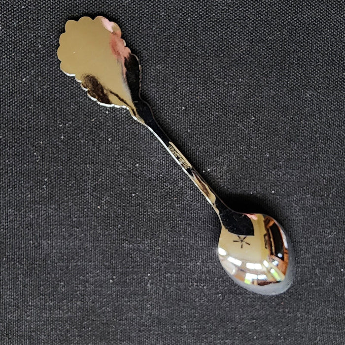 Columbia Icefields Jasper Alberta Canada Collectible Souvenir Spoon 4.5" (11cm)