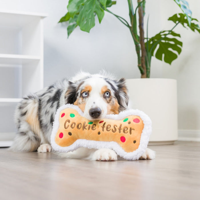 Dog with Cookie Tester Bone.