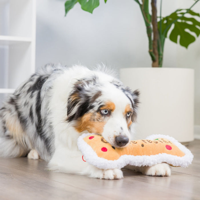 Cookie Tester Bone
