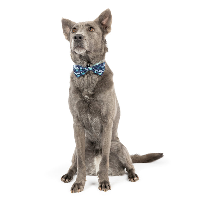 Dog wearing a Cool Breezes Bow Tie on a white background.