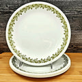 Corelle Corning Spring Blossom Set of 4 Salad Plate 8 1/2" (21cm) Floral Rim