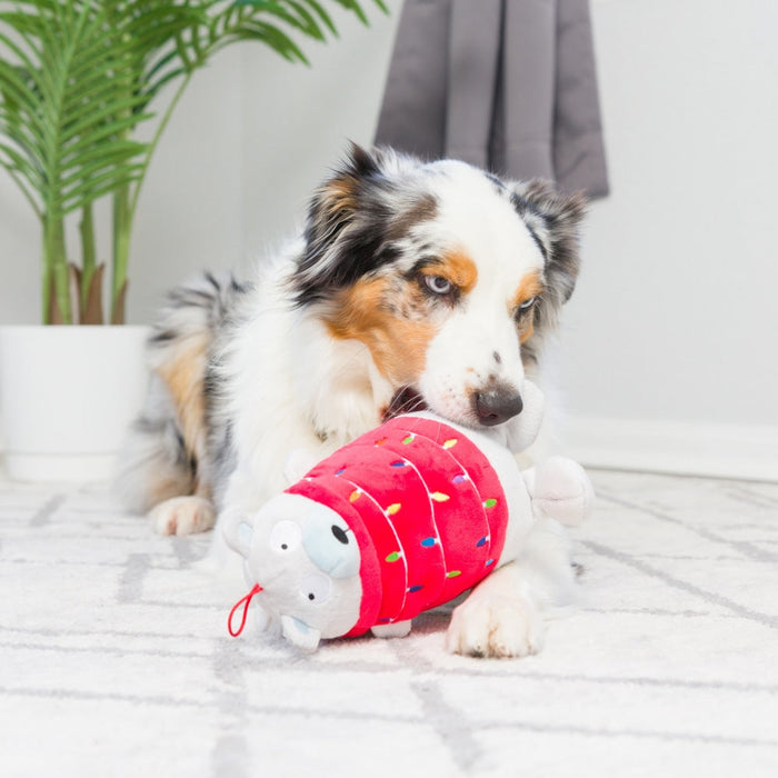 Dog with a red holiday plush toy featuring Deck The Bear.