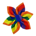 Pet wearing Equality Pinwheel.