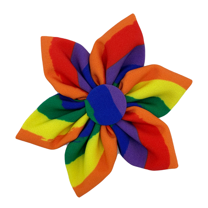 Pet wearing Equality Pinwheel.