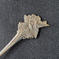 Estes Park Colorado Collectible Souvenir Spoon 5" (12cm) Silver Plated