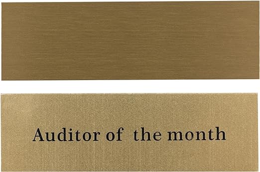Everything Everywhere All Auditor of The Month Plug Throphy Custom - TVStoreOnline