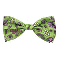 Everything Spring Bow Tie