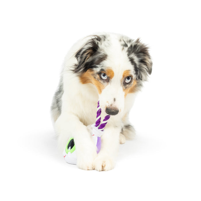 Dog with an eyeball-shaped plush toy featuring Eyeball Safety Pop.