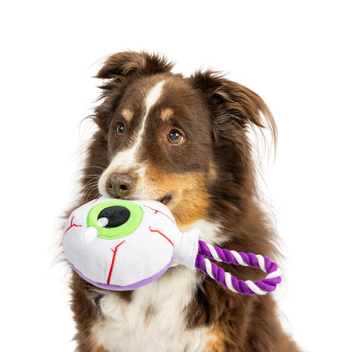 Dog holding a green eyeball plush toy featuring Eyeball Safety Pop.