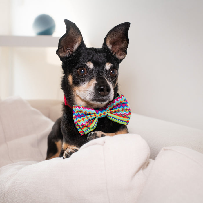 Fairisle Bow Tie