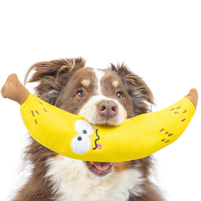 Dog with Fetchies® Bruiser Banana.