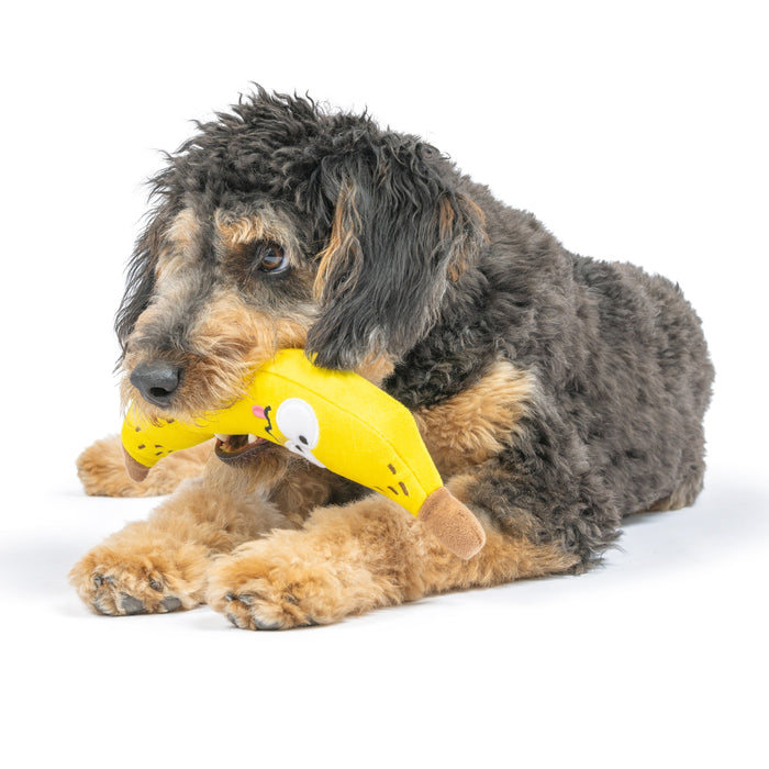 Dog with Fetchies® Bruiser Banana on a white background.