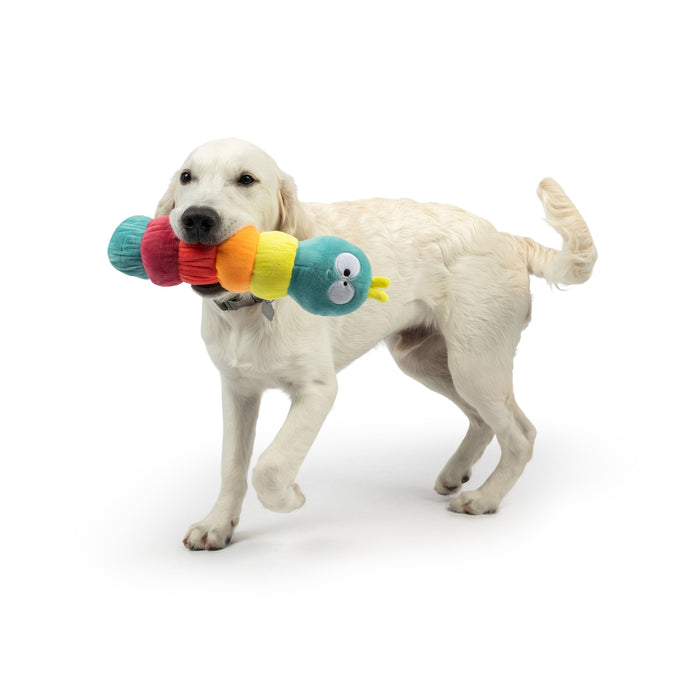 Fetchies® Caterpillar Dog Toy