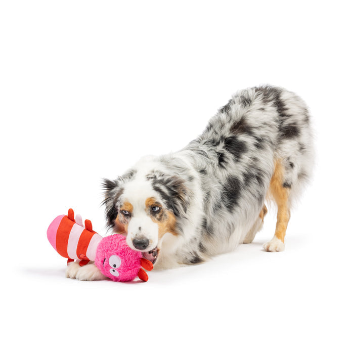 Dog with Fetchies® Love Bug Dog Toy on a white background.