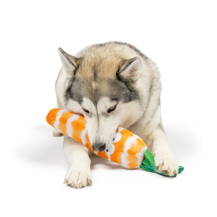 Dog with Fetchies® Sweet Carrot Dog Toy.