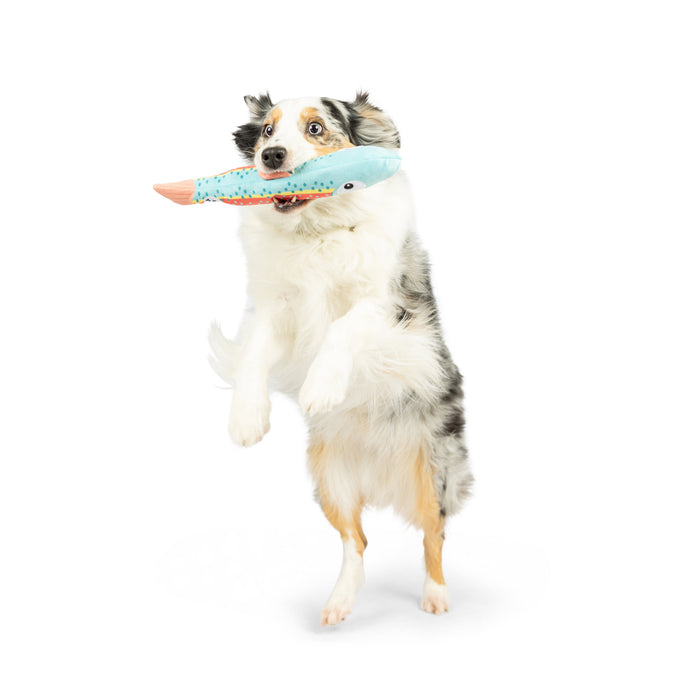Fetchies® Travis Trout Dog Toy