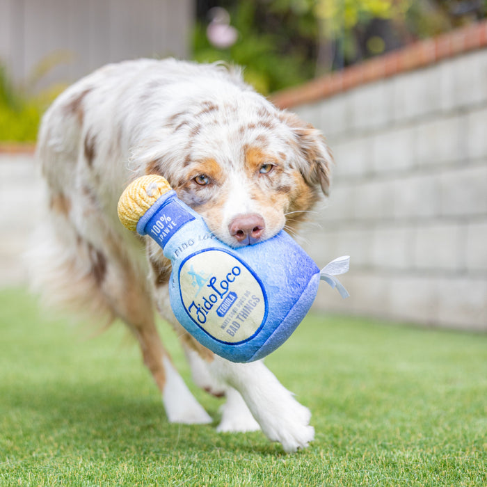 Fido Loco Tequila