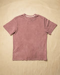 Fig T101