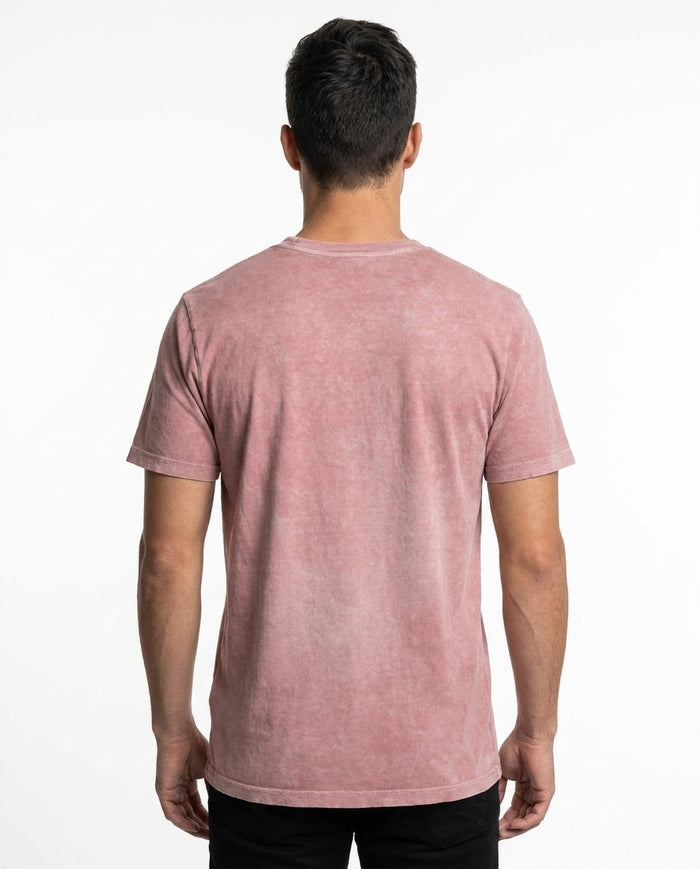 Fig T101