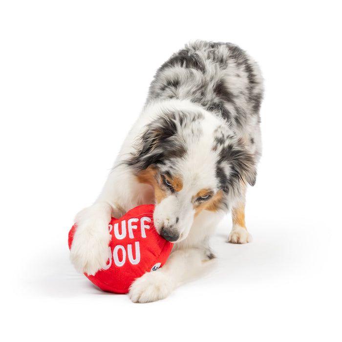 Dog with First Lick Heart Dog Toy (Double-Sided).