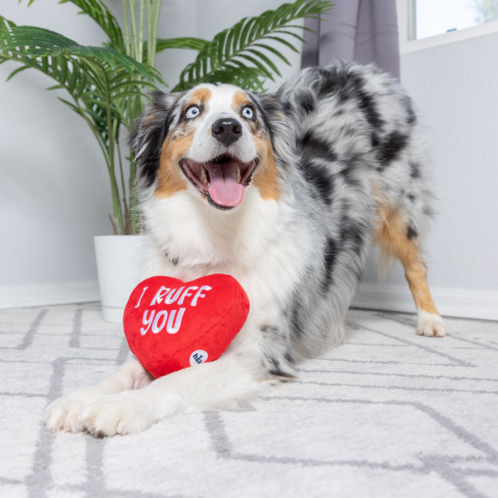 First Lick Heart Dog Toy (Double-Sided)
