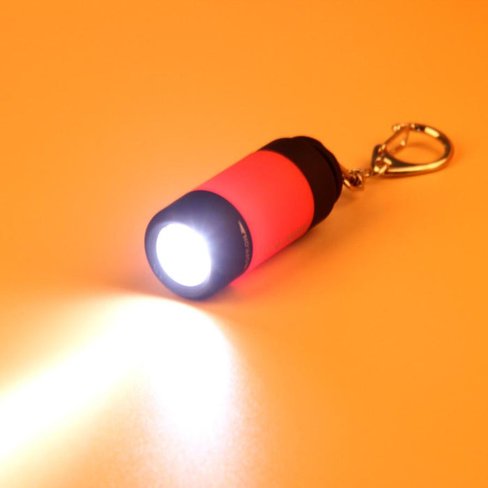 Flashlight: Mini LED with USB Rechargeable (FREE SHIPPING)