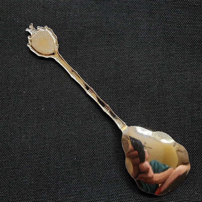 Florida Sunshine State Collectible Travel Souvenir Spoon 5" (12 cm) Sand Beaches