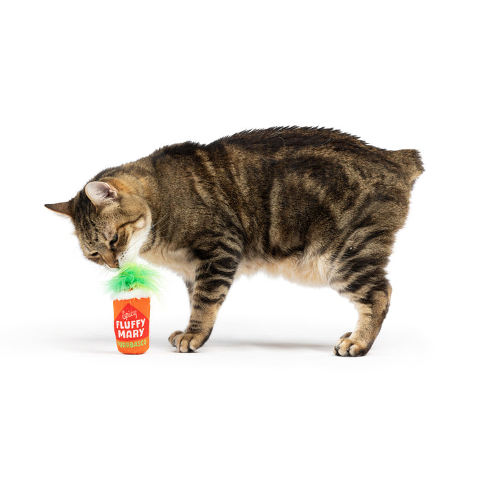Cat with Fluffy Mary Cat Toy.