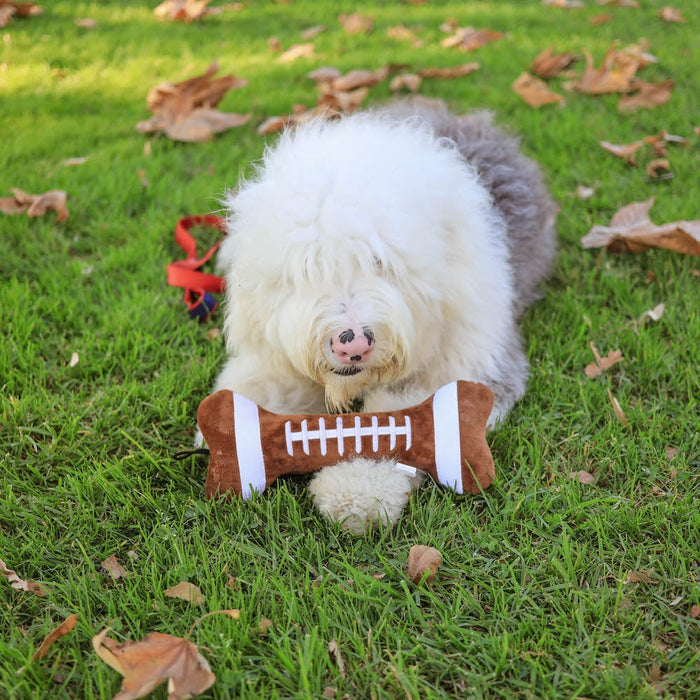 Pet with Football Bone outdoors.