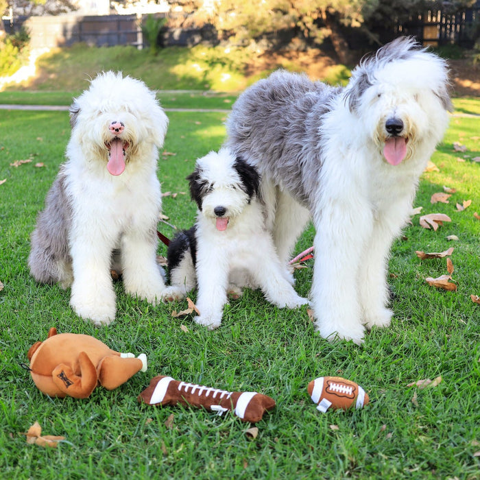 Football Bone